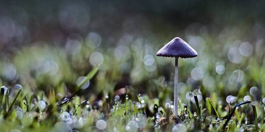 -220616103431C5 defoamer