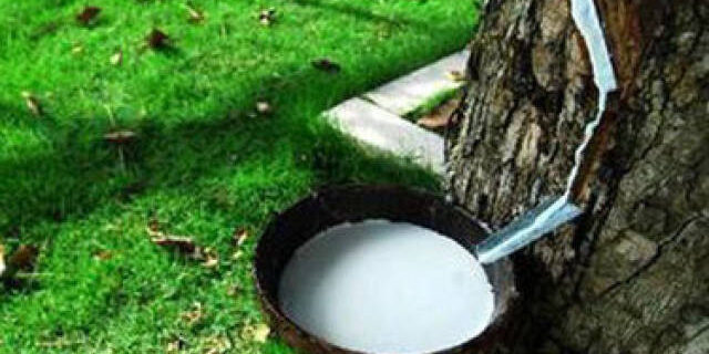 a9768e39f6074d8581ec44774ed2a3c8 Defoamer